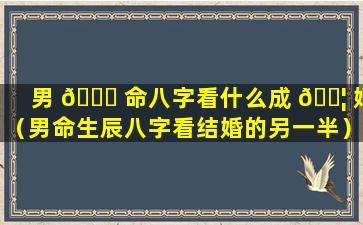 男 🐟 命八字看什么成 🐦 婚（男命生辰八字看结婚的另一半）